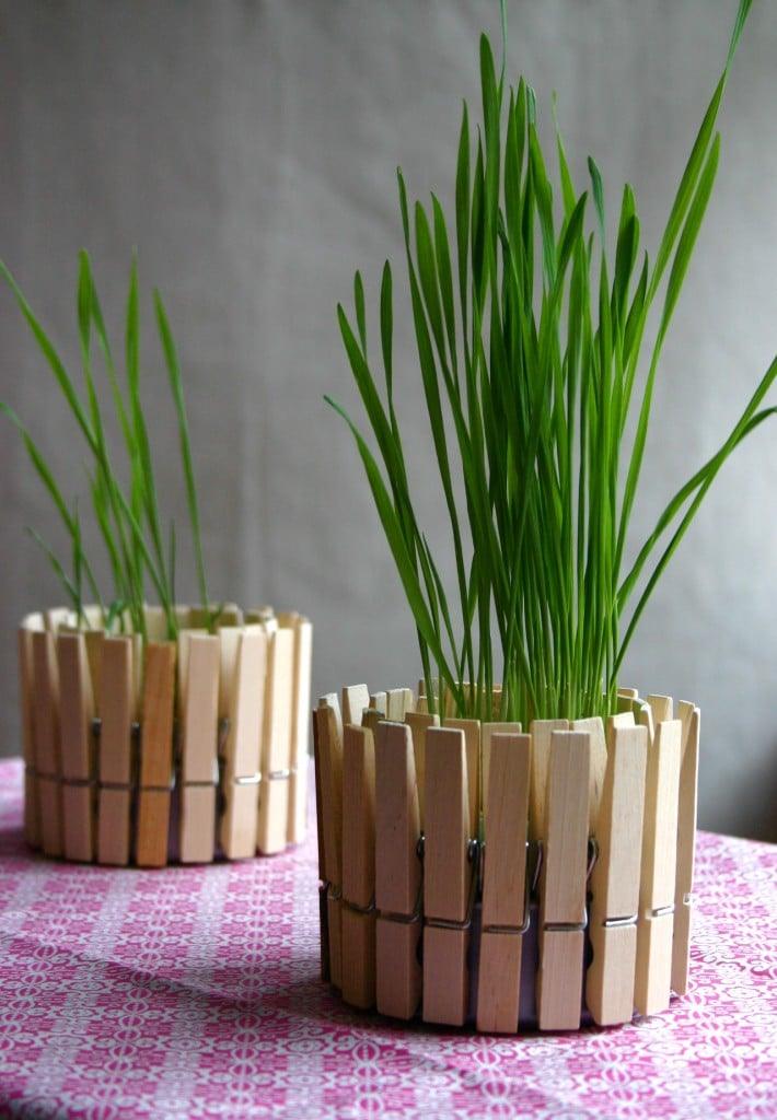 DIY Crafts - Clothespin Planter Tutorial and Rustic Home Decor Ideas