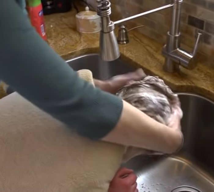 Stuck Gum Removal Hack Using Peanut Butter
