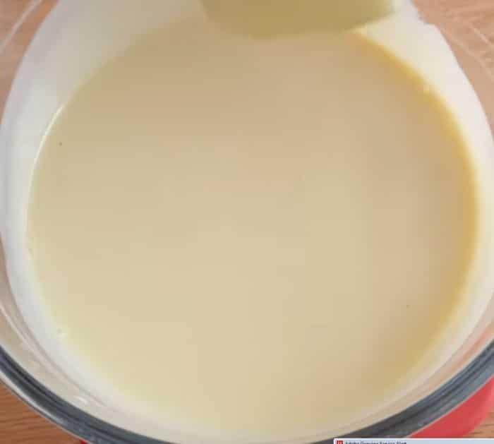 Homemade Creamy Milk Ice Cream Recipe