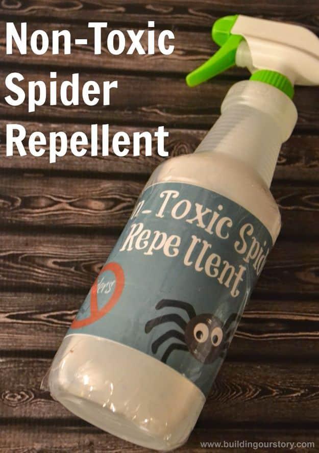 Best Ways to Get Rid of Bugs - Homemade Non-Toxic Spider Repellent - Easy Tips and Tricks to Get Rid of Roaches, Ants, Fleas and Flies - DIY Ways To Exterminate and Elimiate Pests