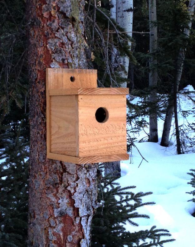 DIY Bird Houses - $1 Modern Birdhouse - Easy Bird House Ideas for Kids and Adult To Make - Free Plans and Tutorials for Wooden, Simple, Upcyle Designs, Recycle Plastic and Creative