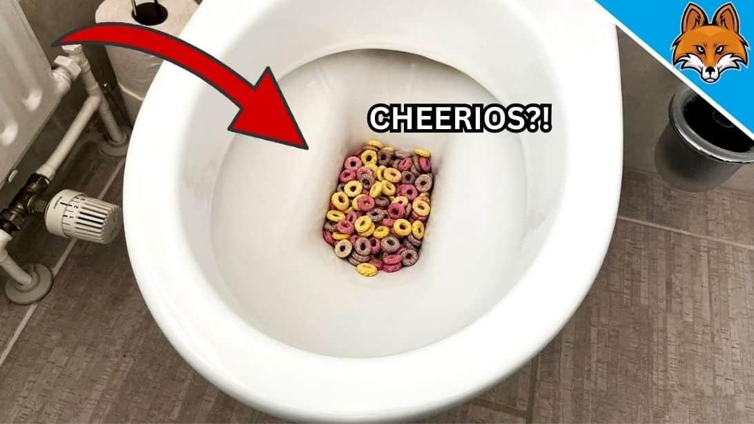 How to Flush the Toilet When the Water Tank is Broken