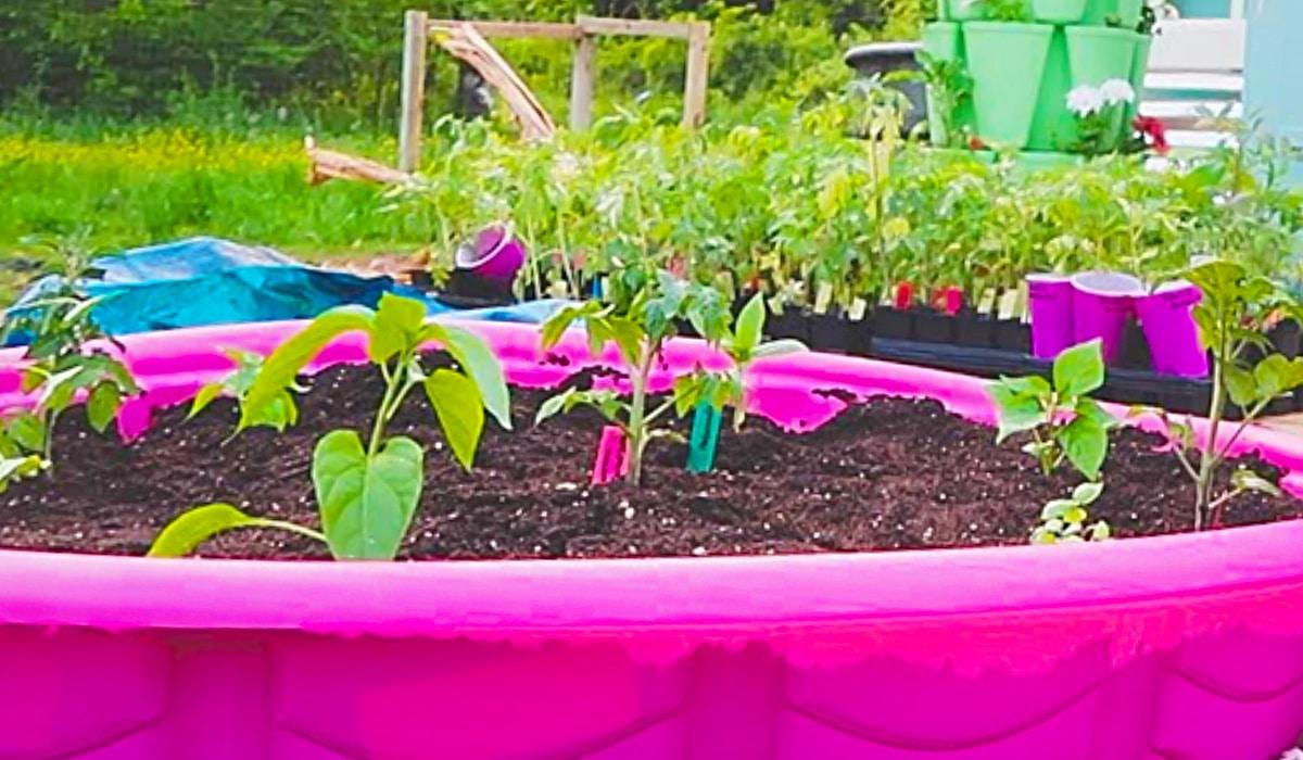 $7 Kiddie Pool Raised Garden