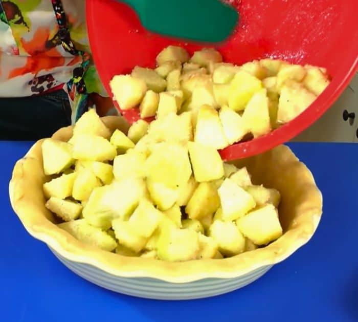 Easy Homemade Apple Pie Ingredients