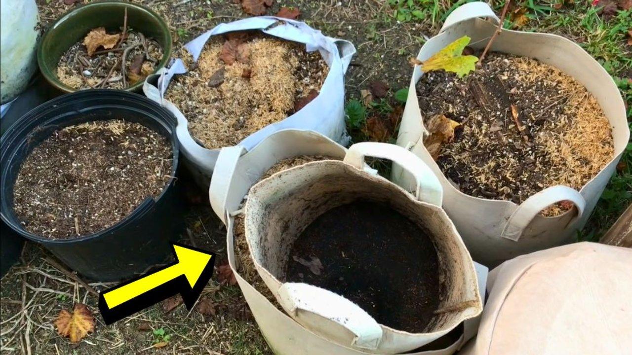 How to Reuse Old Potting Soil