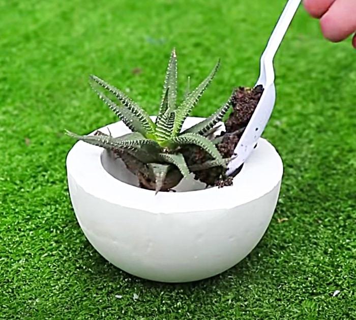 Make A Mini Succulent Planter With Cement