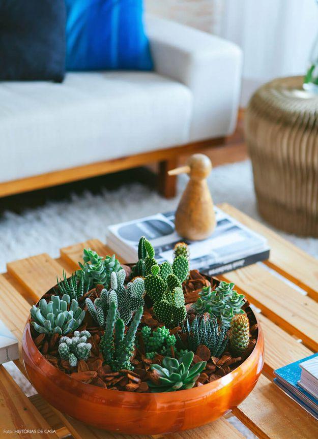 Succulent Arrangement, a budget living room decor idea worth bookmarking for later and a popular choice on this list