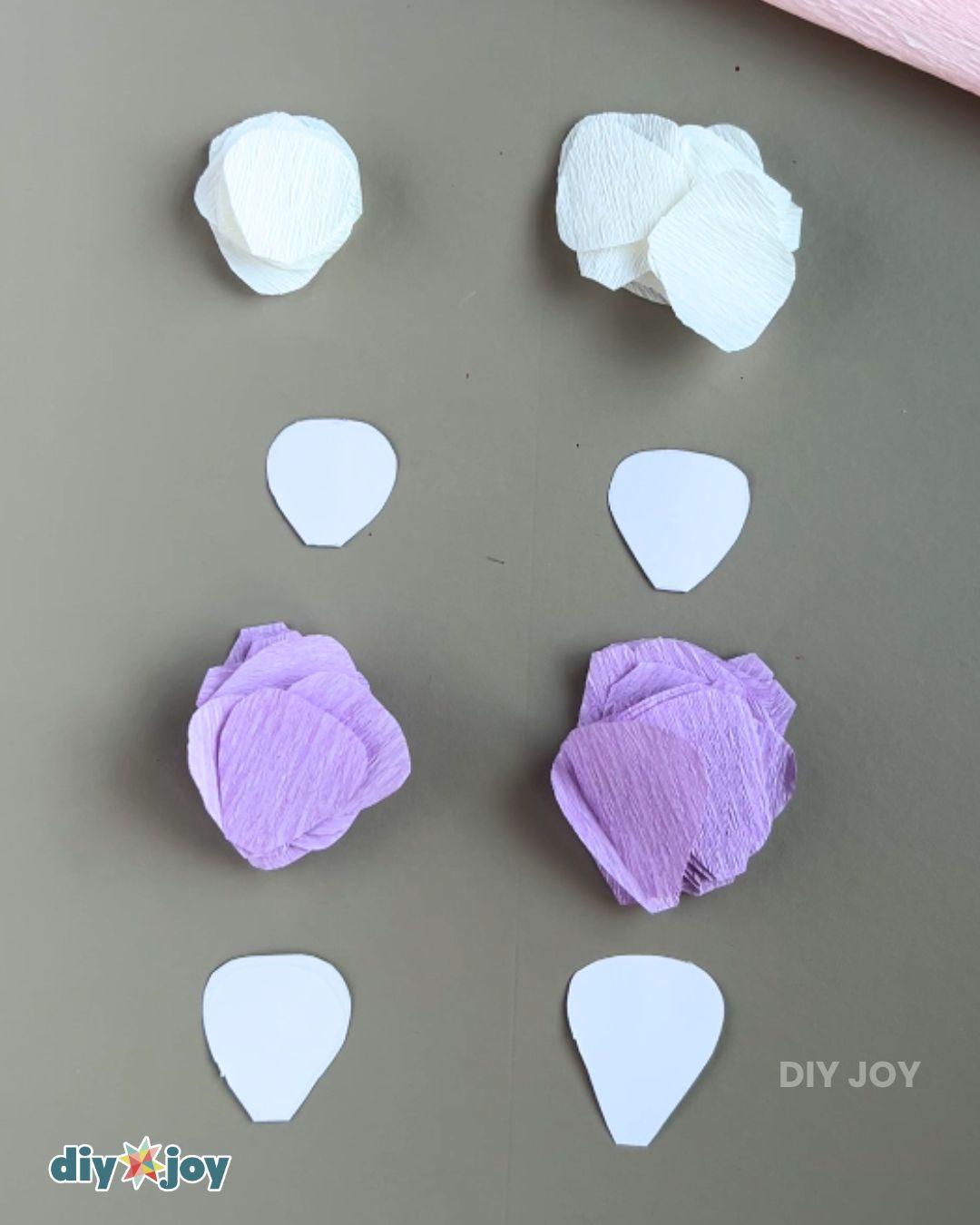 Paper Ranunculus — petals