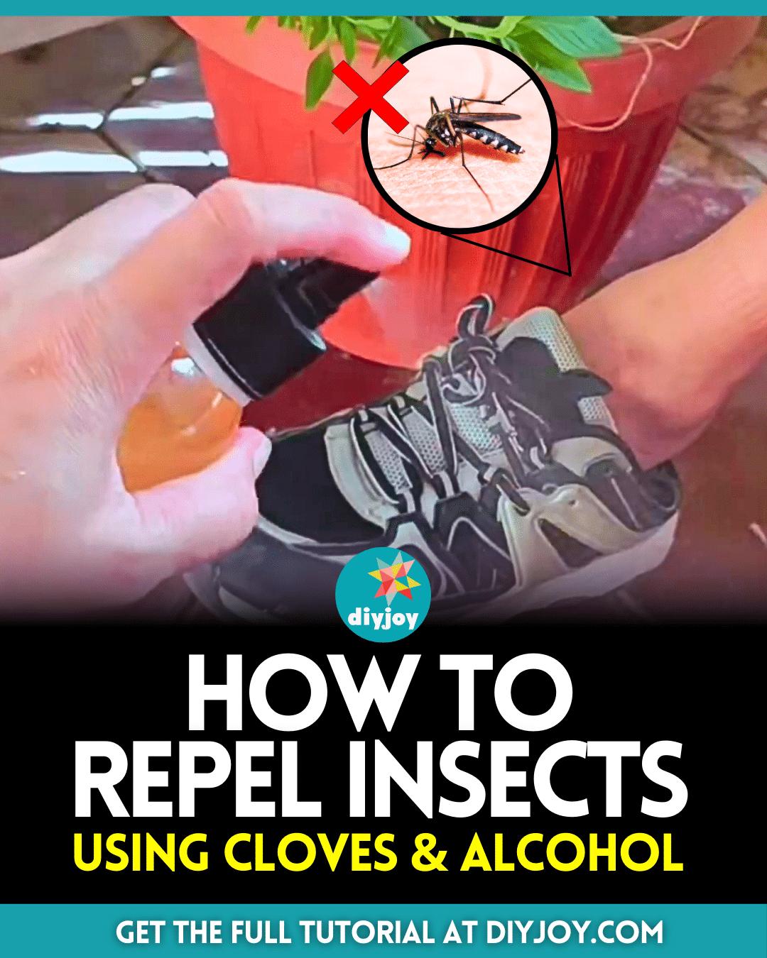 How to Repel Insects Naturally
