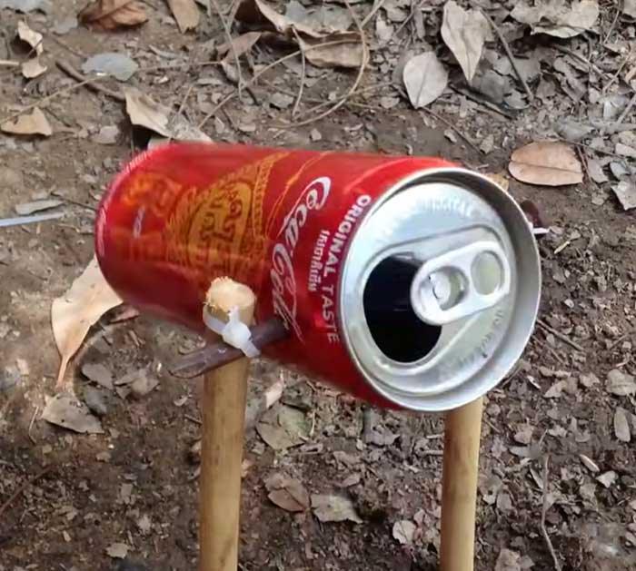 Coke Can Bird Trap - Bird Hack