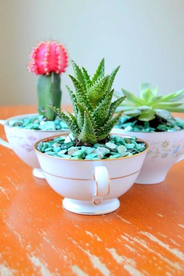 DIY Succulent Teacup Garden, a great weekend project for a beginner with basic tools and one of the best picks on this list