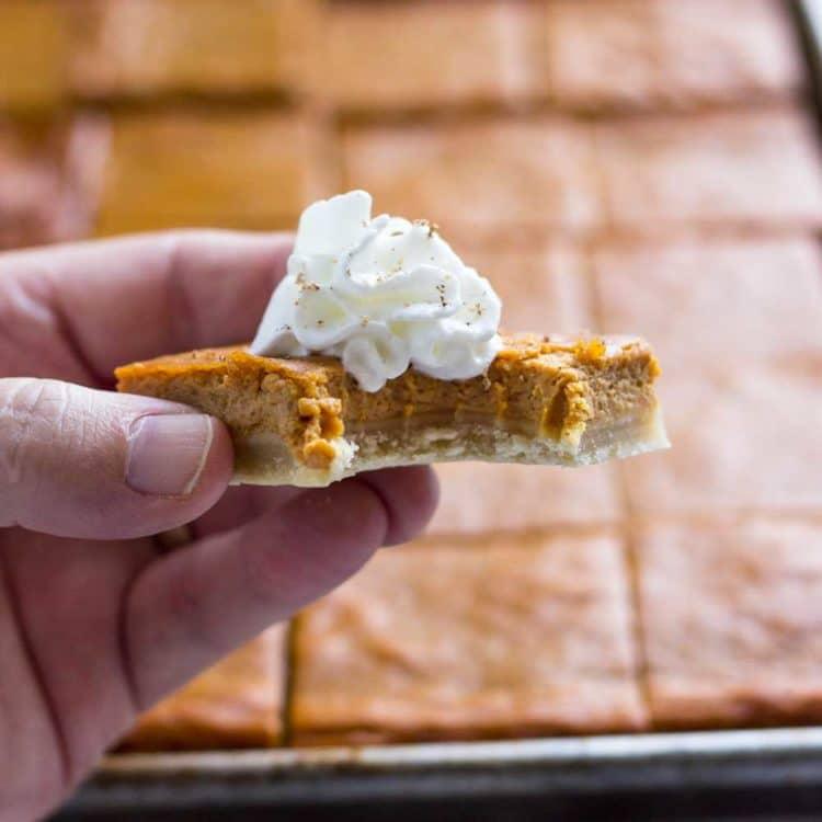 Slab pumpkin pie bars cut into squares on a sheet pan, spiced pumpkin filling on a buttery pastry base