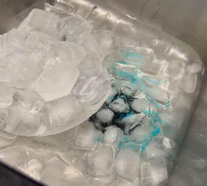 How To Clean Garbage Disposal With Ice Cubes