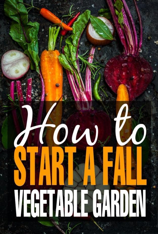 Graphic reading How to Start a Fall Vegetable Garden over carrots, beets and radishes arranged on dark soil