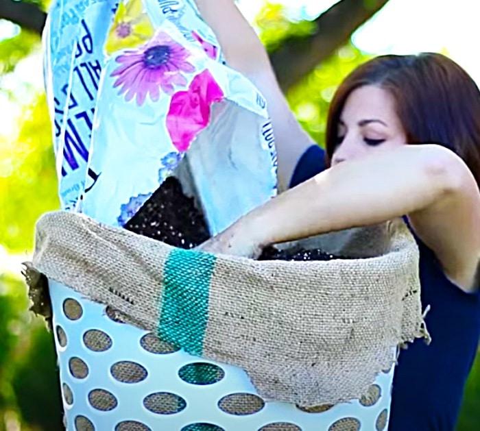 Make a planter for strawberries from a laundry basket