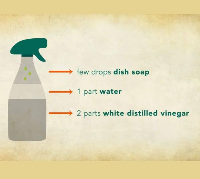 Make your own natural weed killer