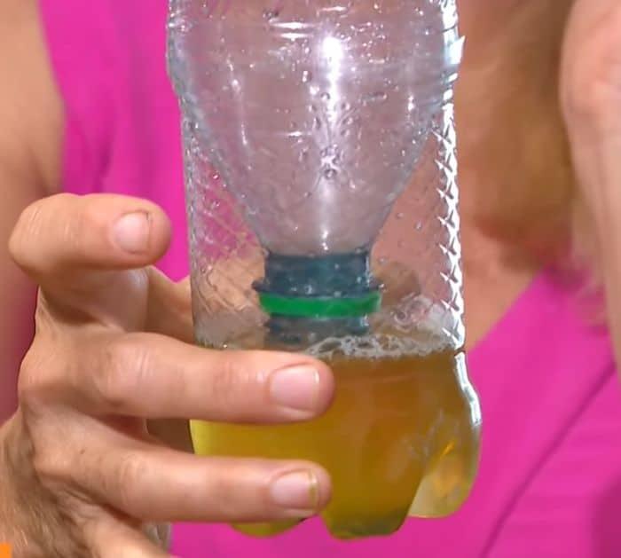 How to Get Rid of Fruit Flies