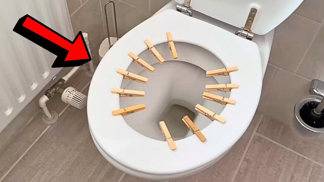 How to Make Your House Smell Good