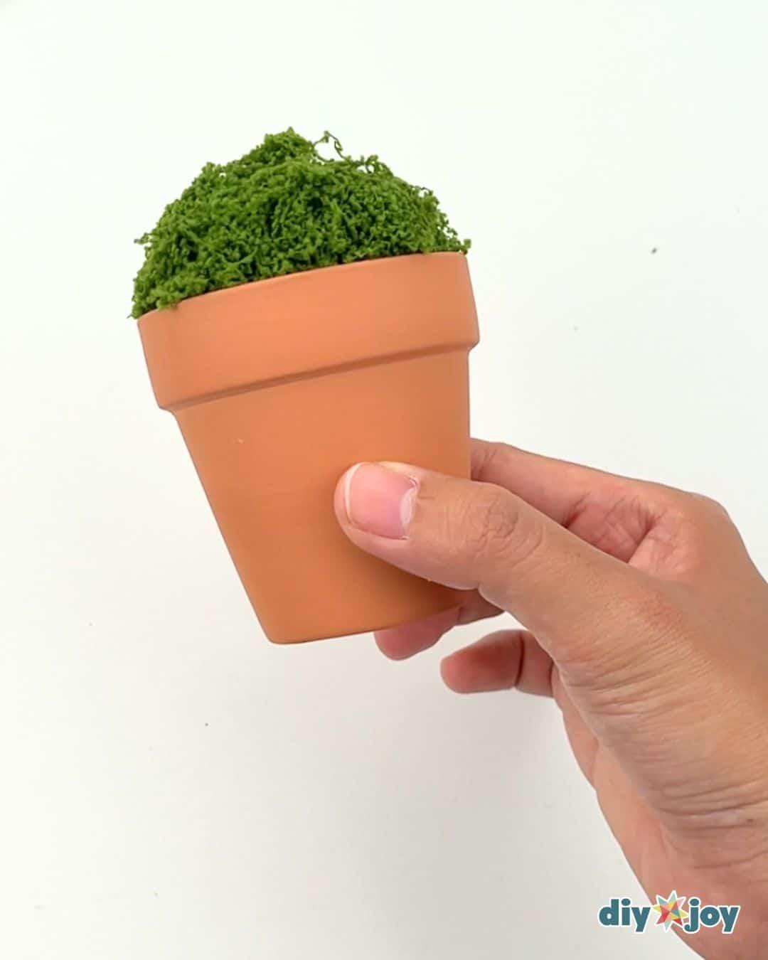 Viral Beaded Plant — cover the styrofoam