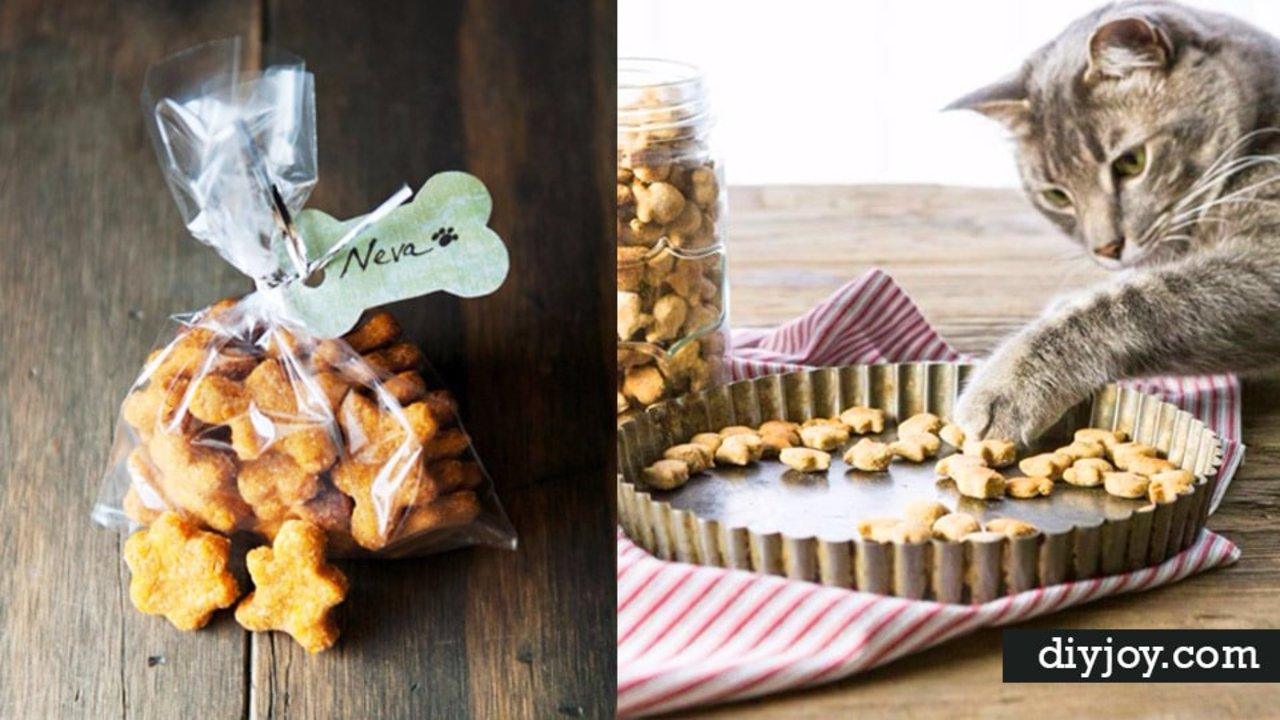 37 Homemade Pet Recipes For Dogs and Cats