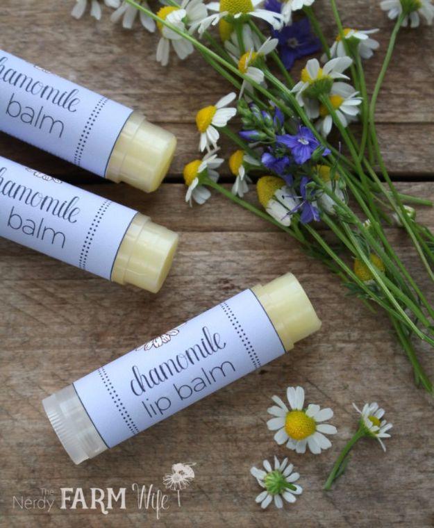 Printable labels on homemade chamomile lip balm tubes with fresh chamomile flowers on weathered wood