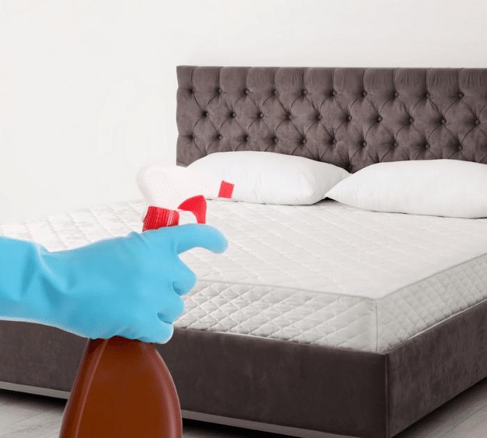 Surprising Uses of Hydrogen Peroxide Dust Mites