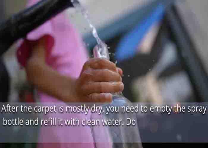Spraying fresh water to the carpet