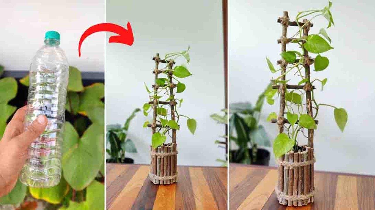 DIY Twig Planter Using A Plastic Bottle