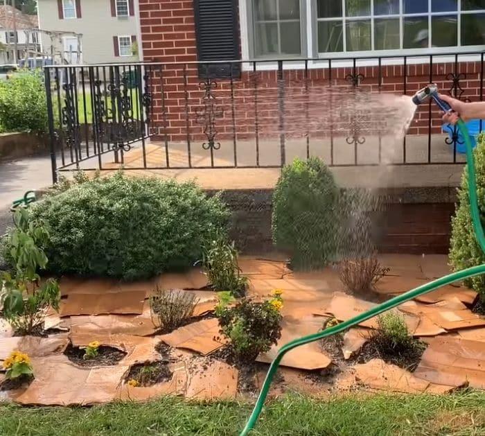 Easiest Way to Get Rid of Weeds (Cheap and Fast) Tricks