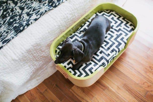 Poplar Hardwood Dog Bed, a cozy pet nook, easy enough to hand off to a total beginner and a detail company always compliments