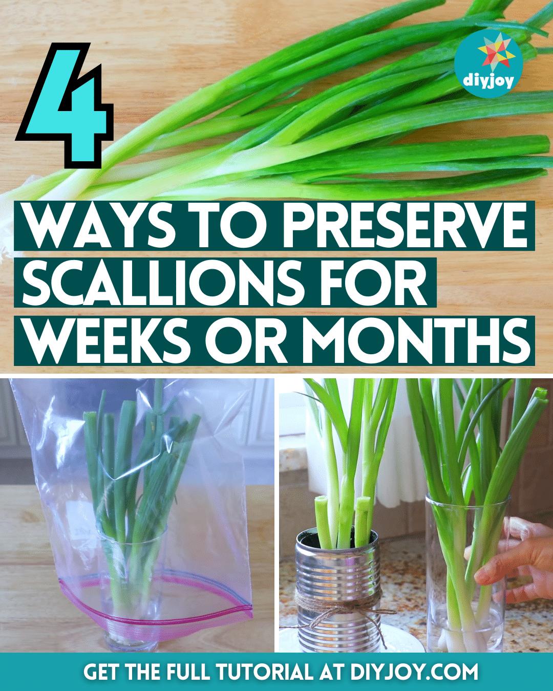 4 Ways to Preserve Scallions for Weeks or Months