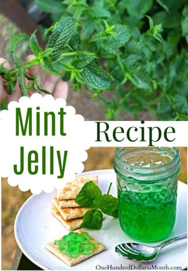 Homemade mint jelly in small canning jars, pale green and clear, with fresh mint leaves on a cutting board