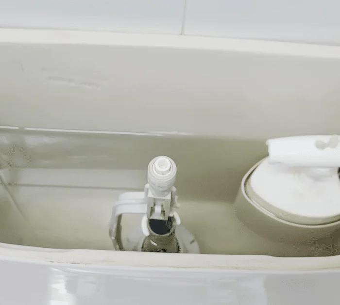 Easy No-Scrub Toilet Tank Cleaning Tutorial