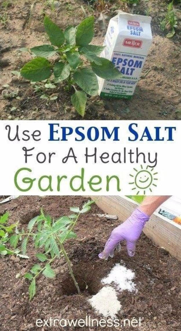 Use Epsom Salt For A Healthy Garden, flexible enough for a compact city sized lot and a garden that finally feels manageable