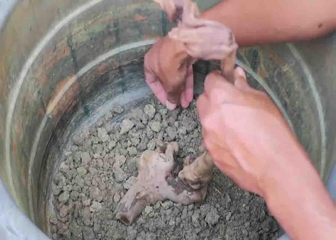Placing the driftwood to the bottom of the tub