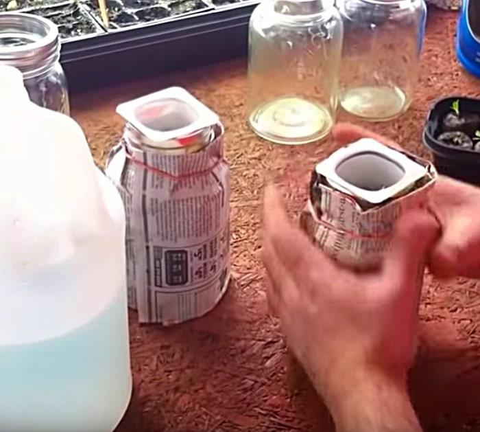 Grow hydroponic plants in mason jars