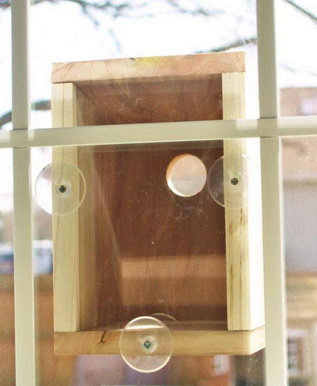 DIY Bird Houses - Window Birdhouse - Easy Bird House Ideas for Kids and Adult To Make - Free Plans and Tutorials for Wooden, Simple, Upcyle Designs, Recycle Plastic and Creative Wa