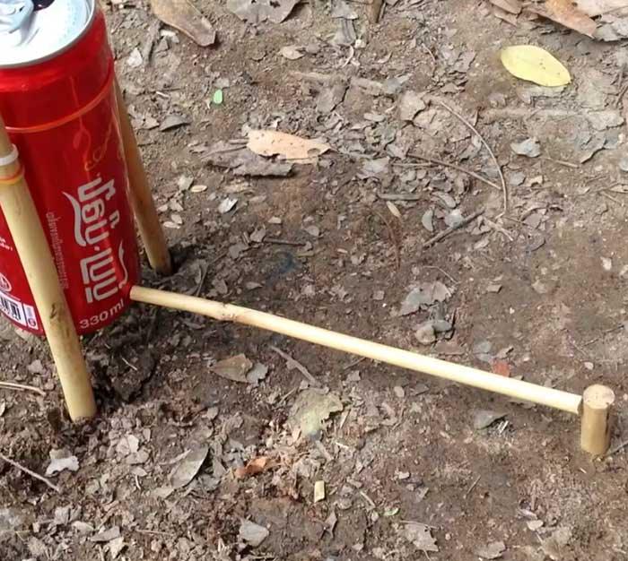 Bird Trap With Coke Cans - Easy Bird Hack