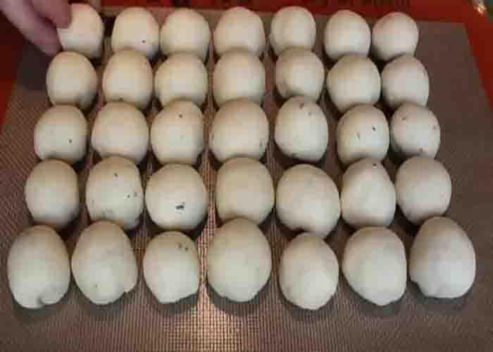 Proofing the rosemary and honey dinner rolls