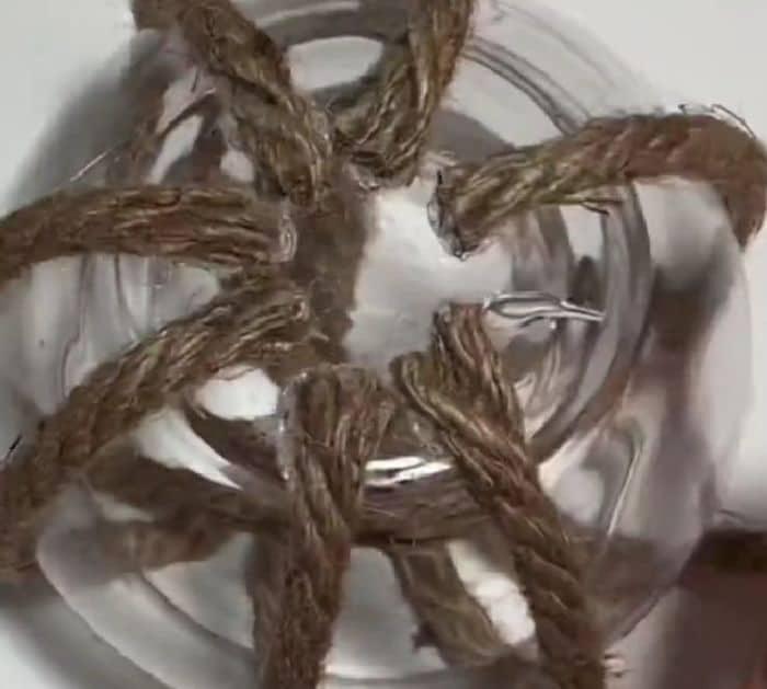 Easy TikTok Decor Project Ideas