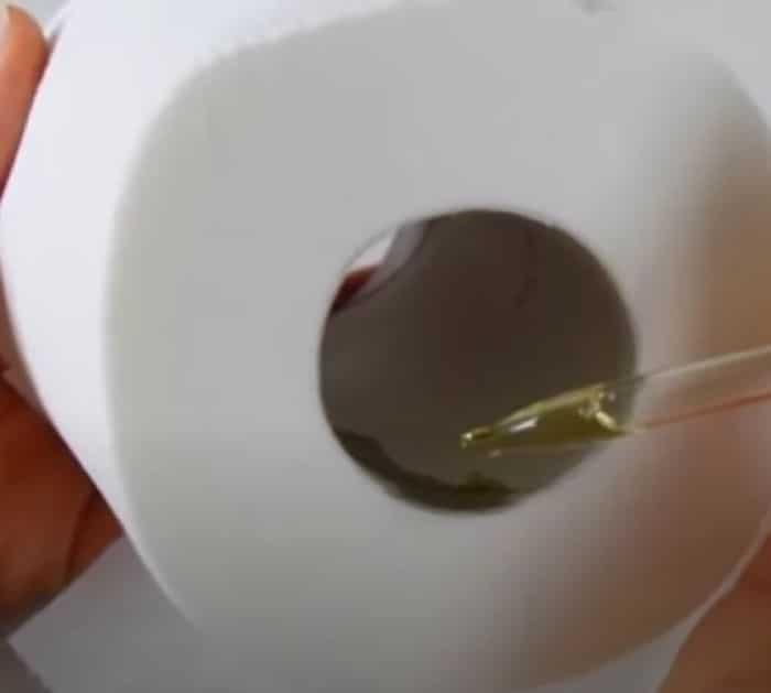 How To Make Bathroom Smell Fresh