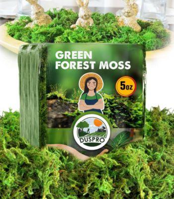 green moss