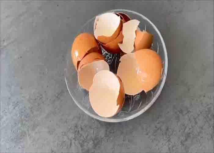 Storing the eggshells to be use for sharpening knives