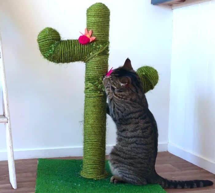 Easy to Make DIY Cactus Cat Scratching Post Using PVC Pipes