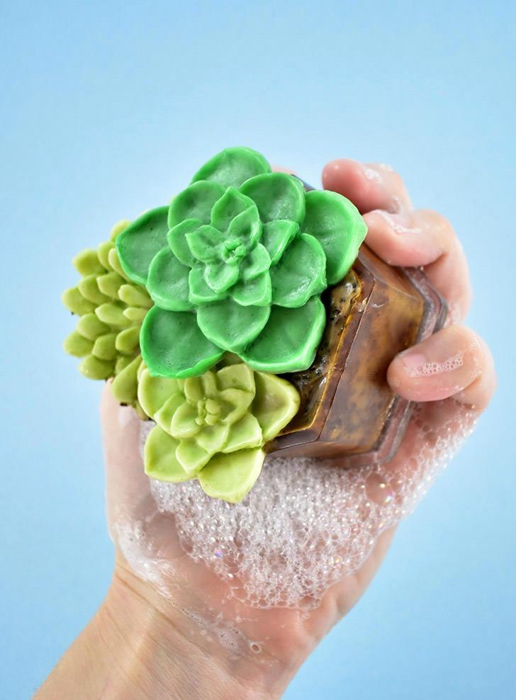 Hand holding a hexagon soap planter with green soap succulents and a coffee ground soil layer, covered in suds on blue