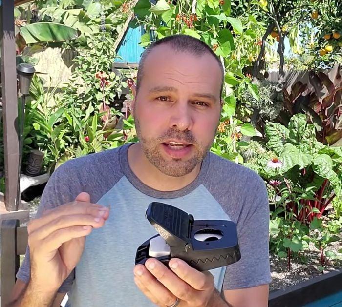How To Repel Rats And Squirrels