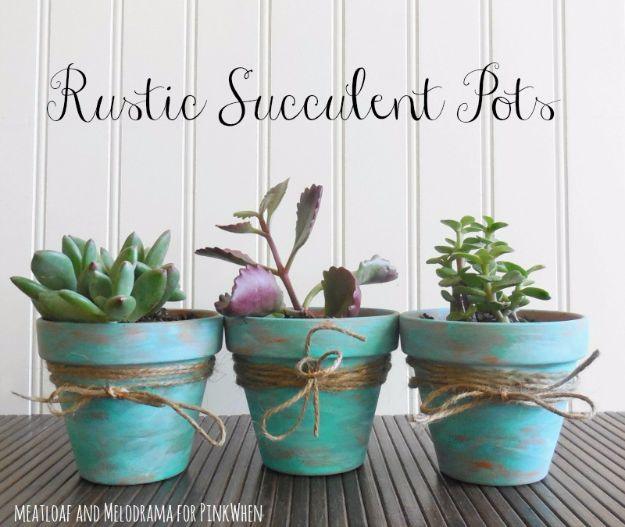 DIY Rustic Succulent Pots, a budget friendly country craft idea worth trying and an idea worth saving for later