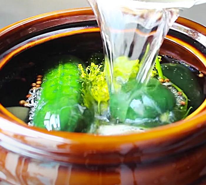 Pour Brine Over Raw Cucumbers To Make A Fermented Dill Pickles