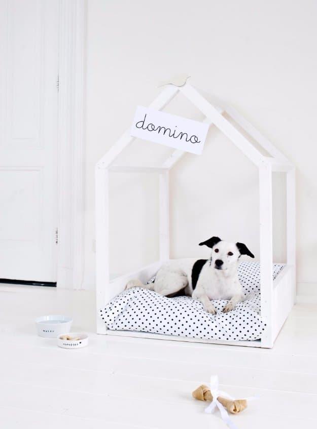 Minimalist Dog Bed, a cozy pet nook, straightforward enough to skip a practice round and a showpiece guests linger over