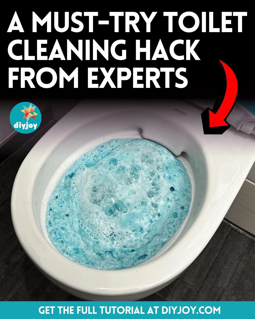 A Must-Try Toilet Cleaning Hack From Experts